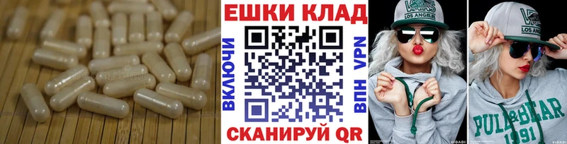 купить наркотики цена  мега tor  ЭКСТАЗИ Philipp Plein  Волосово 