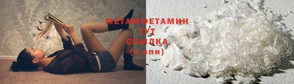 прущие грибы Белоозёрский