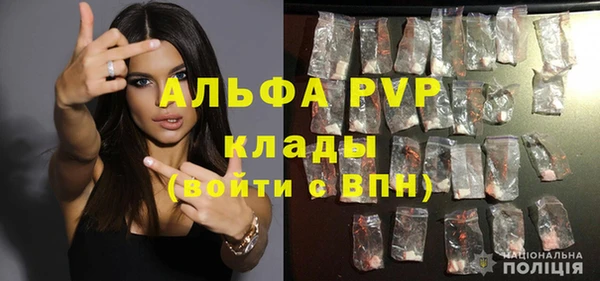 прущие грибы Белоозёрский