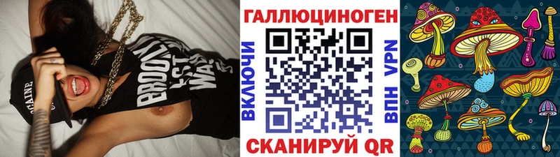Псилоцибиновые грибы Psilocybe  где купить наркоту  Волосово 